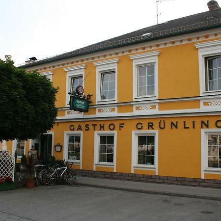 Gasthof Gruenling Wallsee Eksteriør billede